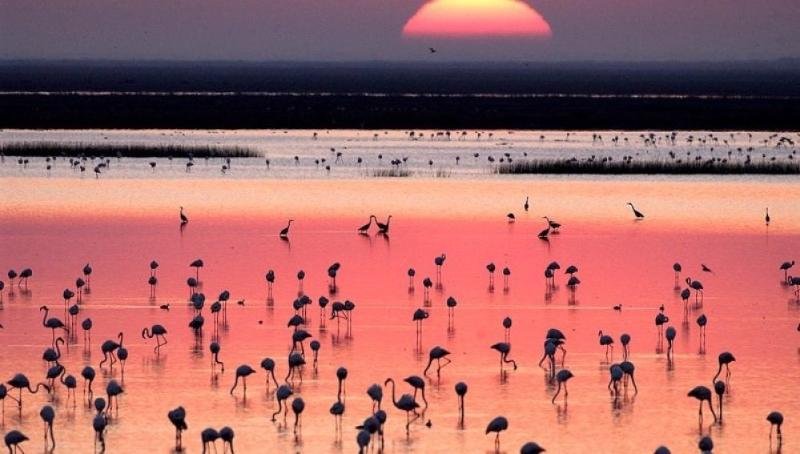 3 días en el Parque Nacional de Doñana: Rutas en 4×4 y Playas Salvajes