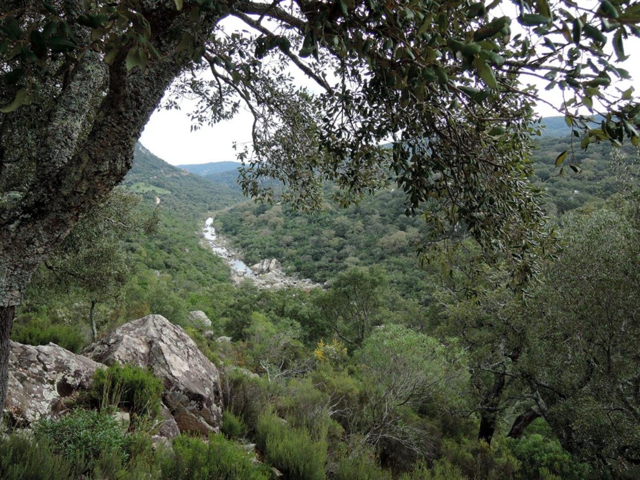 Parque Natural de Los Alcornocales