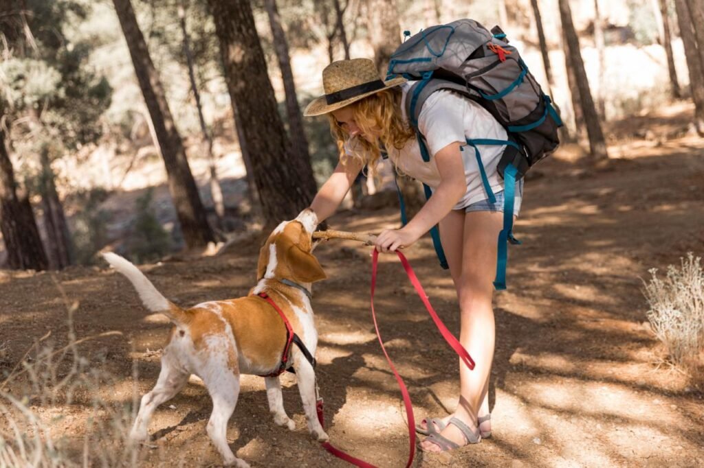 ruta con tu mascota de forma segura y legal