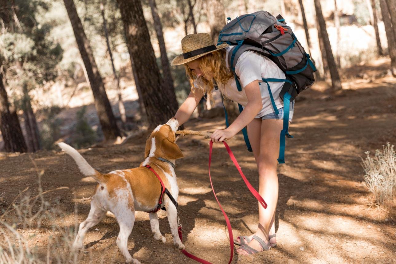 Mejores excursiones con mascota en Guadarrama