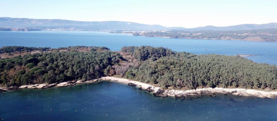 El bosque de laurel más grande de Europa