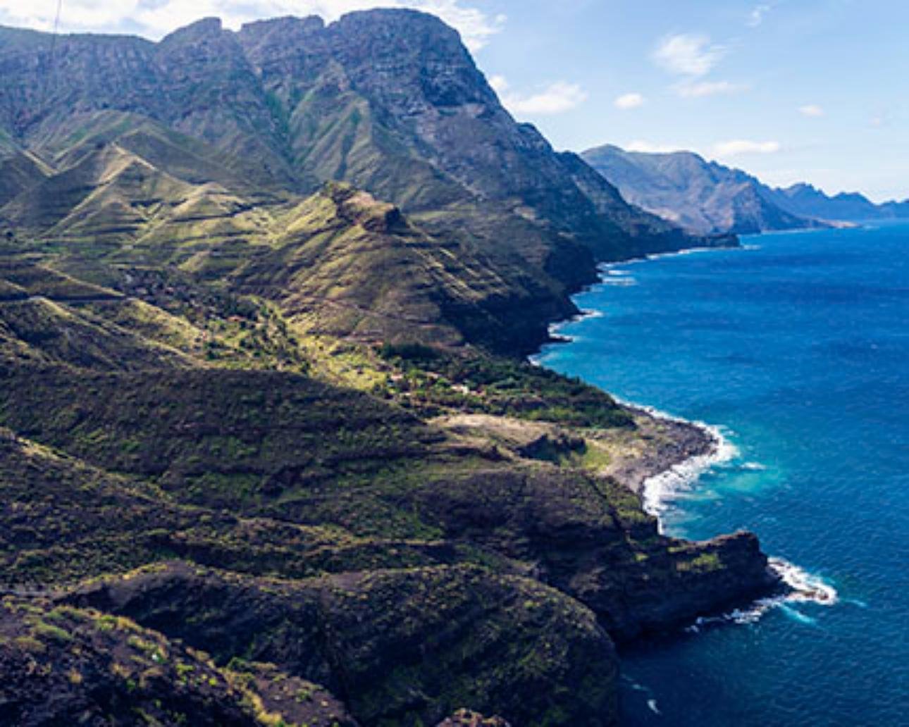 Parque Natural de Tamadaba (Gran Canaria): guía completa de rutas, bosque y áreas recreativas